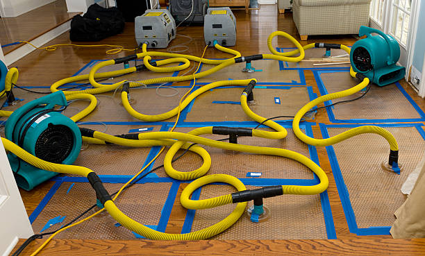 Professional Water Extraction technician working in Theresa, WI